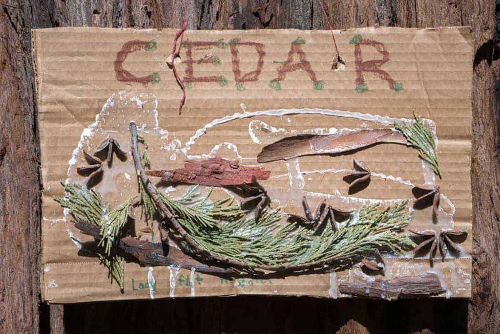 a sign with cedar tree clippings