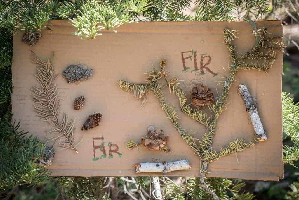 a sign with fir tree clippings