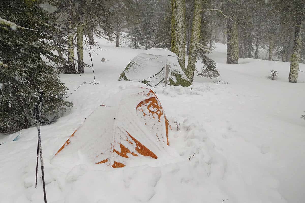 snowed-in tents in the forest