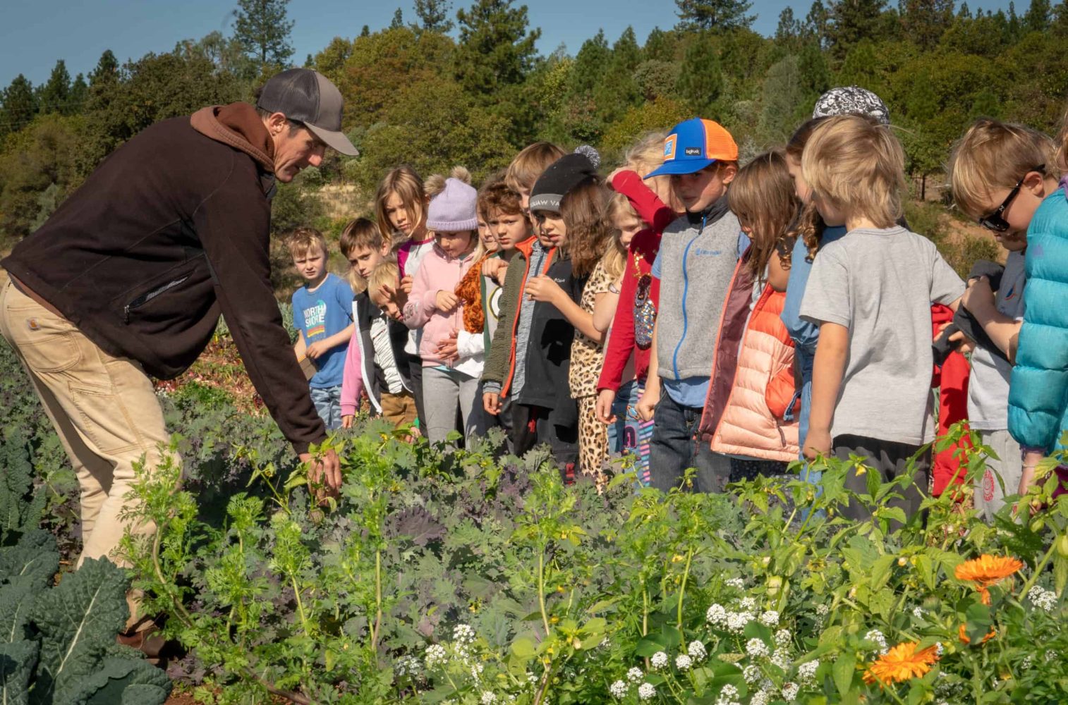 kids line up by their teacher to learn about different plants